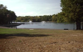 Stock Footage Two Fountains In A Lake