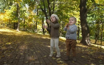 Stock Footage Two Children Enjoying Autumn