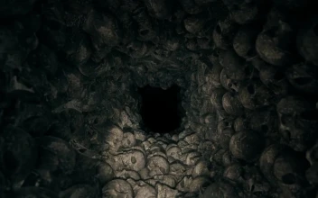 Stock Footage Tunnel Full Of Skulls