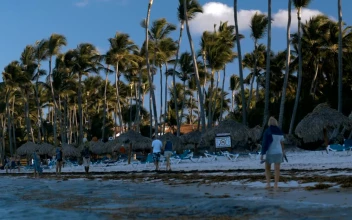 Stock Footage Tropical Tourist Beach Tilt Shot