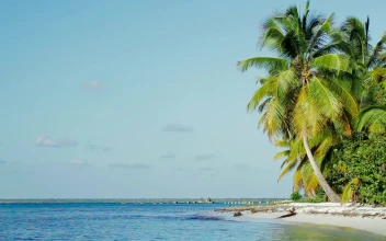 Stock Footage Tropical Coastline With Gentle Ocean Waves