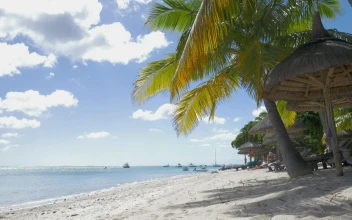 Stock Footage Tropical Beach With Calm Water