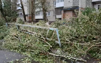 Stock Footage Tree Fallen On The Street By A Hurricane