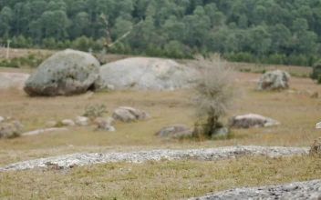 Stock Footage Traveling Woman Enjoying Nature