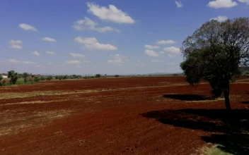 Stock Footage Traveling On Red Ground