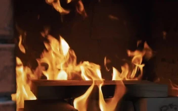 Stock Footage Wood Burning In A Fireplace Free
