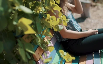 Stock Footage Woman Resting On A Garden Bench Free