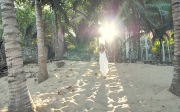Stock Footage Woman Walking Among Palm Trees Free