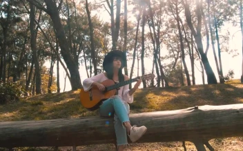 Stock Footage Woman Playing Guitar On A Fallen Log Free