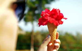 Stock Footage Woman Holding A Waffle Cone With Flowers Free