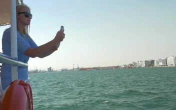 Stock Footage Woman Taking Photos From A Tour Boat Free