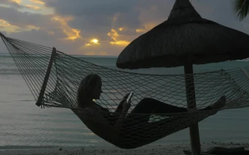 Stock Footage Woman Relaxing In A Hammock Free
