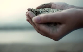 Stock Footage Woman Holding Wet Sand Free