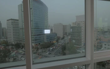 Stock Footage Woman In An Office Building In Korea Free