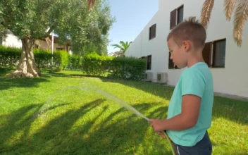 Stock Footage Young Boy Watering Grass Free