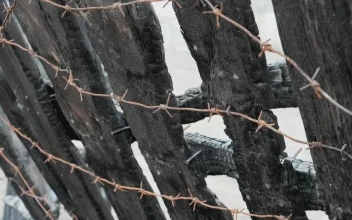 Stock Footage Wooden Fence With Barbed Wire In Detail Free