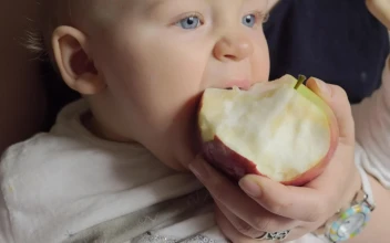 Stock Footage Young Baby Eating An Apple Free