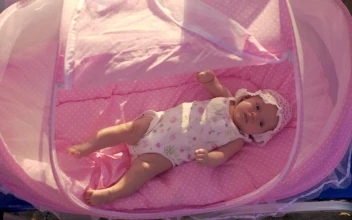 Stock Footage Young Baby Resting In The Shade Free