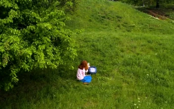 Stock Footage Woman With Corgi Dog In A Green Hill Free