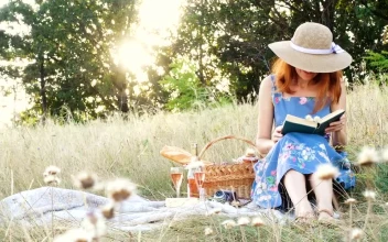 Stock Footage Woman Reading A Book On A Picnic Day Free