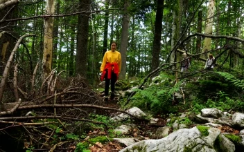 Stock Footage Young Women Hiking Through The Forest Free