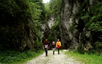 Stock Footage Women Hiking On A Mountain Path Free