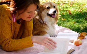 Stock Footage Woman With Corgi Dog Reading In The Park Free