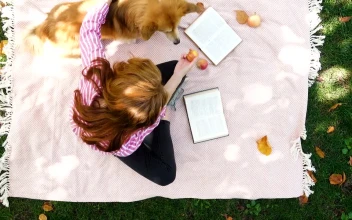 Stock Footage Woman With Corgi Dog In The Park Free