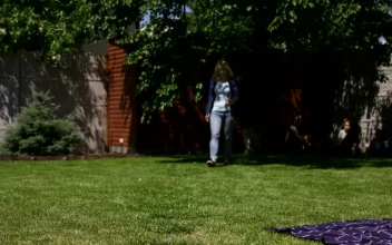 Stock Footage Woman Receiving A Package In The Garden Free