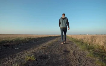 Stock Footage Young Man Walking In A Rural Path Free