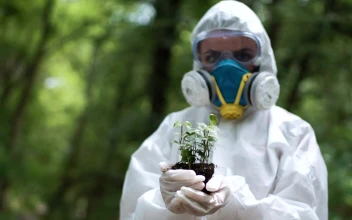 Stock Footage Woman In A Protection Suit Holding A Plant Free