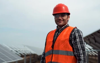 Stock Footage Worker Posing In A Solar Panel Field Free