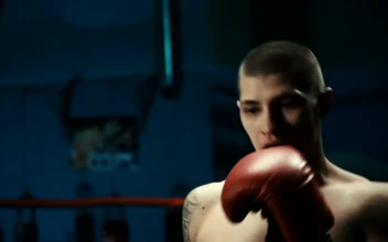 Stock Footage Young Man Hitting The Punching Bag Free