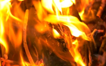 Stock Footage Wooden Logs Burning On A Fire Free