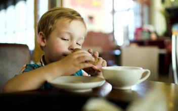 Stock Footage Young Boy Eating A Sandwich Free
