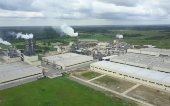 Stock Footage Wood Processing Plant Free