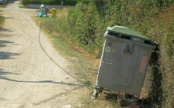 Stock Footage Woman Throwing Away A Bag Of Bottles Free