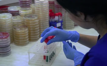 Stock Footage Working With Laboratory Equipment Free