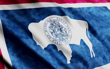 Stock Footage Wyoming State Flag D Animation Free