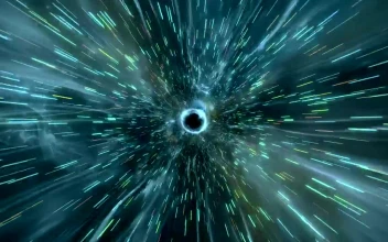 Stock Footage Worm Hole Seen Inside Free