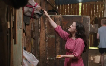Stock Footage Young Woman Petting A Horse At The Stable Free
