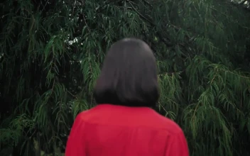 Stock Footage Woman In The Foreground With Her Back Facing Some Trees Free