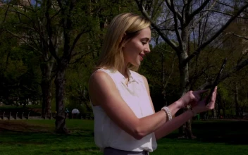 Stock Footage Woman Scrolling On A Tablet In Central Park Free