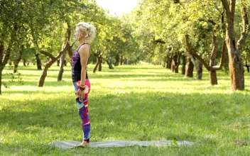 Stock Footage Woman Doing Yoga Between Trees Free