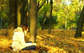 Stock Footage Young Woman Playing With Autumn Leaves Free
