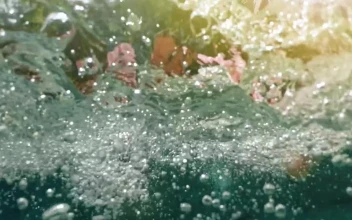 Stock Footage Young Woman Dives Into Pool In Donut Float Free