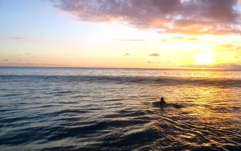 Stock Footage Woman Paddles Surfboard Into Sunset On Calm Sea Free