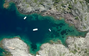 Stock Footage Yachts Anchored In A Cove Free