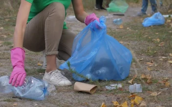 Stock Footage Woman Collecting Rubbish From A Park Free