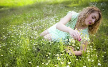 Stock Footage Woman Cutting Flowers Lying Down In Nature Free